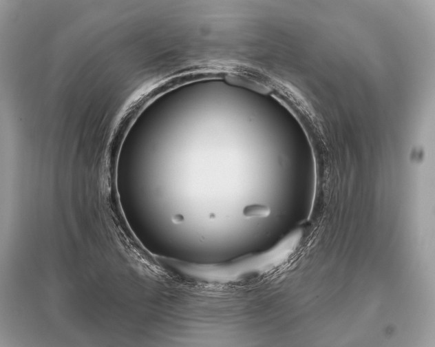 X0000096131172200801251009