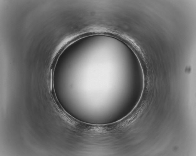 X0000096131175200801251009