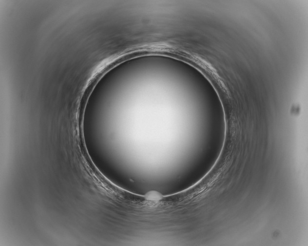 X0000096131176200801251009