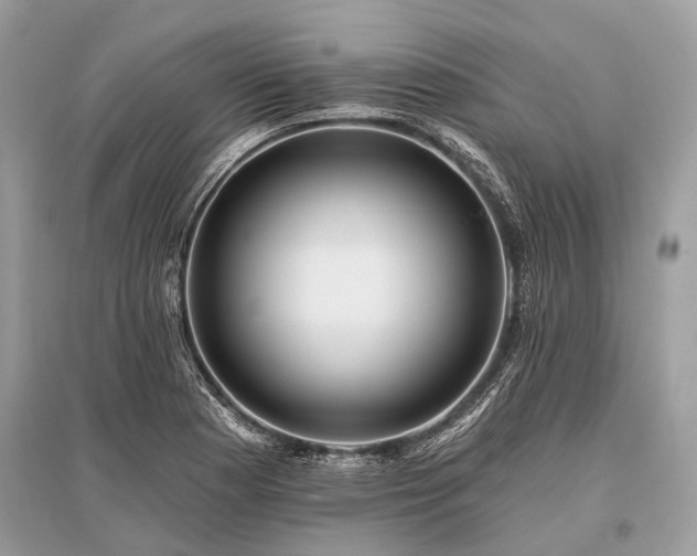 X0000096131177200801251009