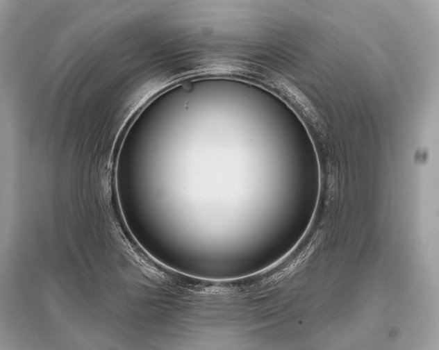 X0000096131178200801251009
