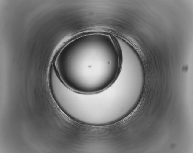X0000096131180200801251009