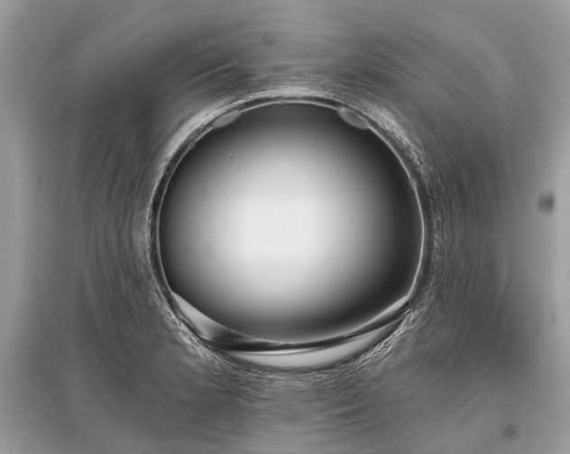 X0000096131181200801251009
