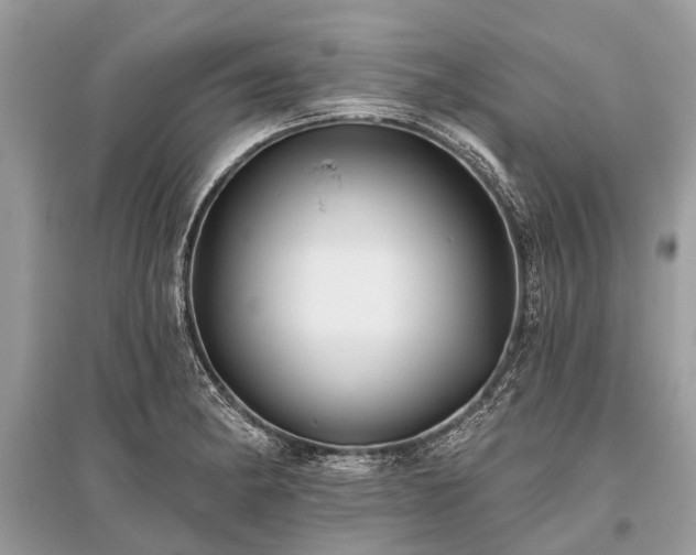 X0000096131182200801251009