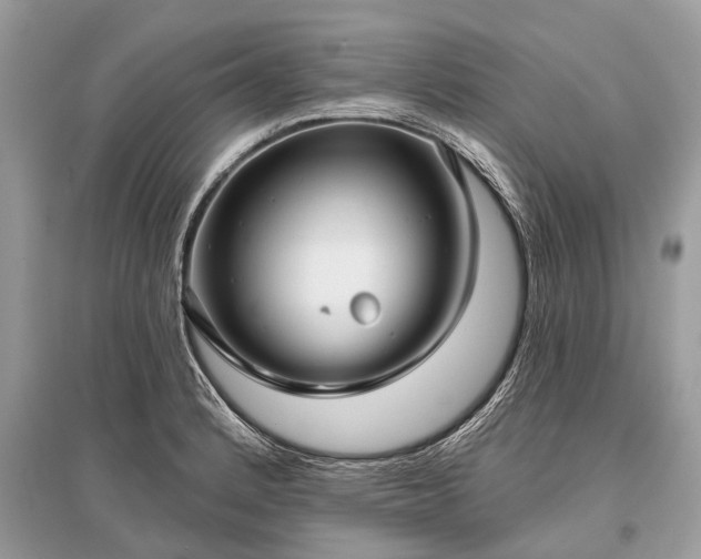 X0000096131184200801251009
