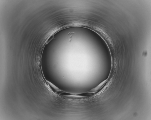 X0000096131185200801251009