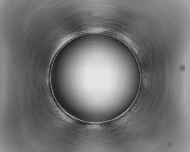 X0000096131186200801251009