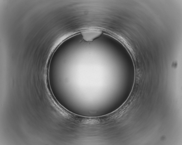 X0000096131187200801251009
