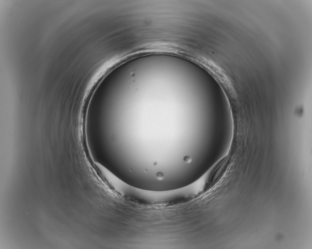 X0000096131188200801251009