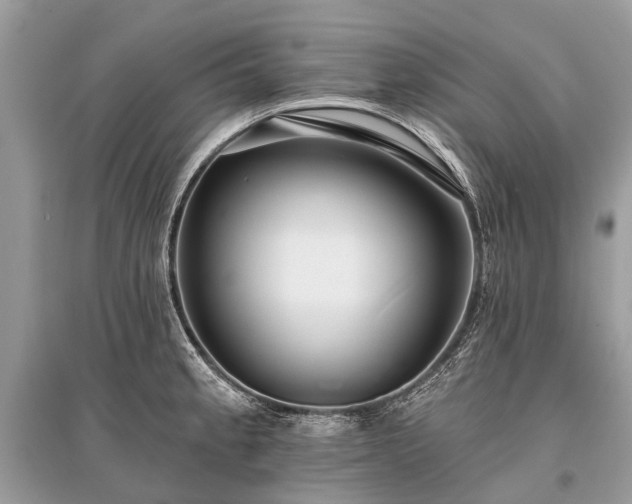 X0000096131189200801251009
