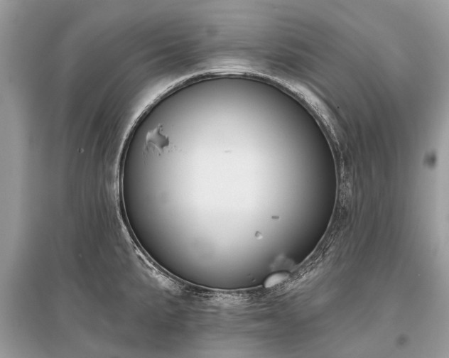 X0000096131191200801251009