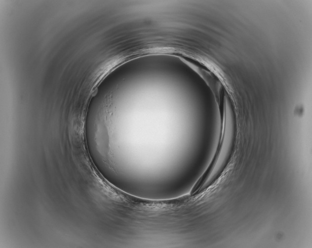 X0000096131193200801251009