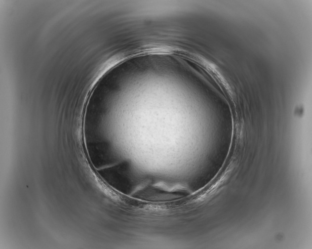 X0000096131194200801251009