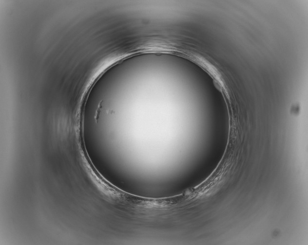 X0000096131195200801251009