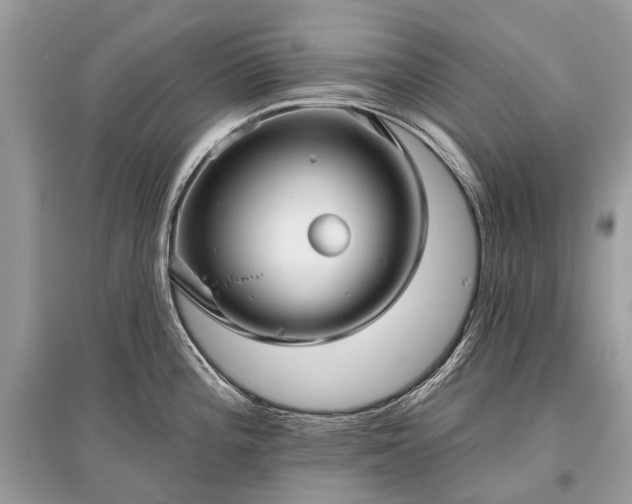 X0000096131196200801251009