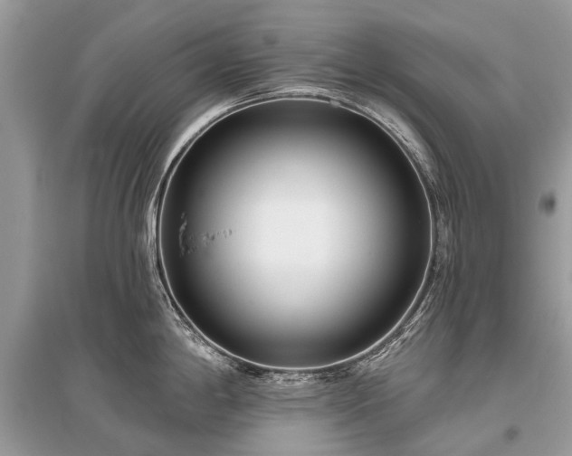 X0000096131198200801251009