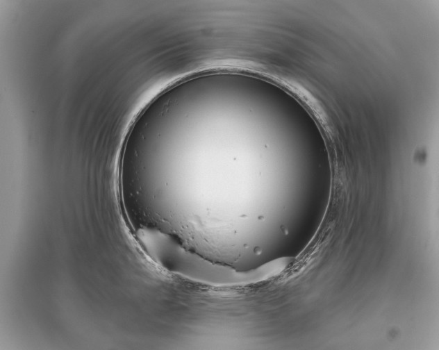 X0000096131199200801251009