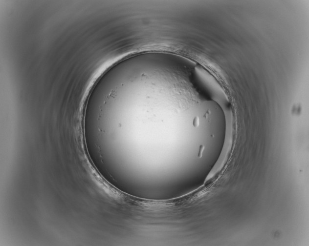 X0000096131200200801251009