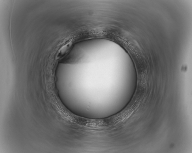 X0000096131201200801251008