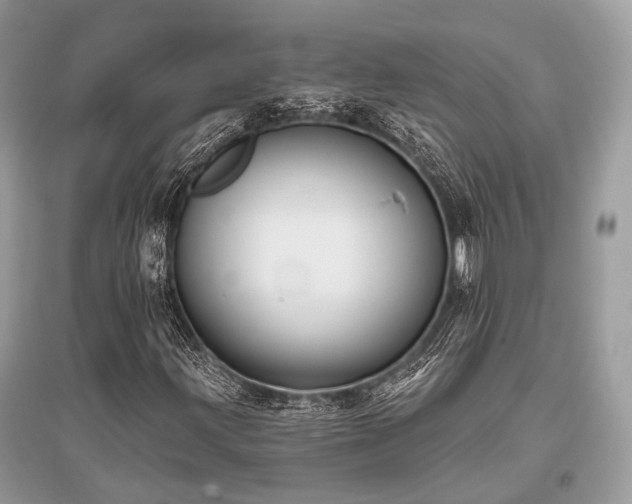 X0000096131203200801251008