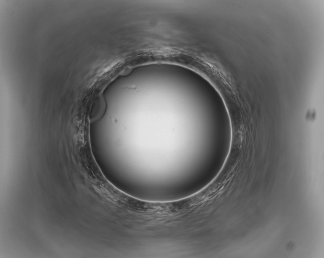 X0000096131205200801251008