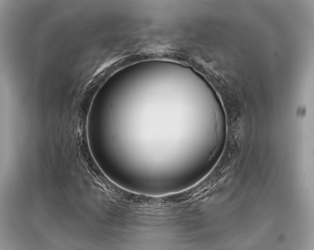 X0000096131206200801251008