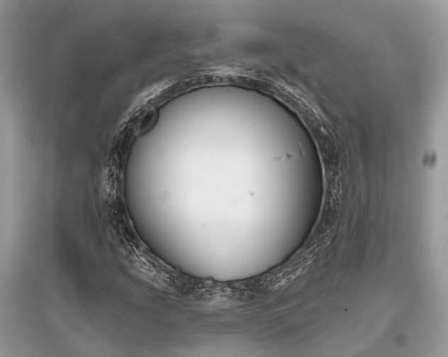 X0000096131207200801251008