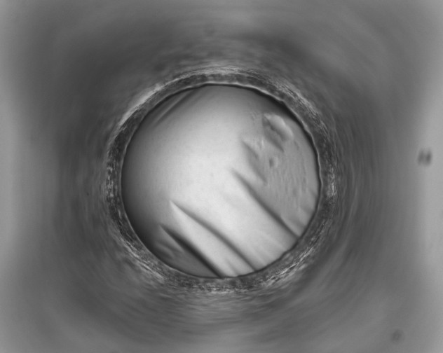 X0000096131208200801251008