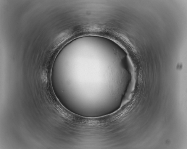 X0000096131209200801251008