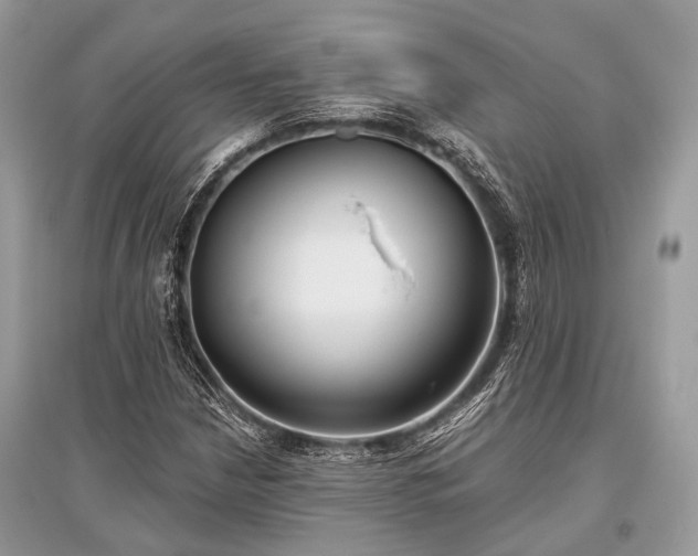 X0000096131210200801251008