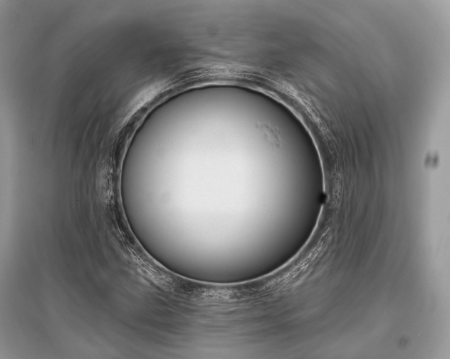 X0000096131211200801251008
