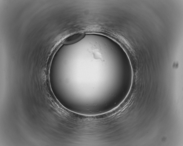X0000096131212200801251008