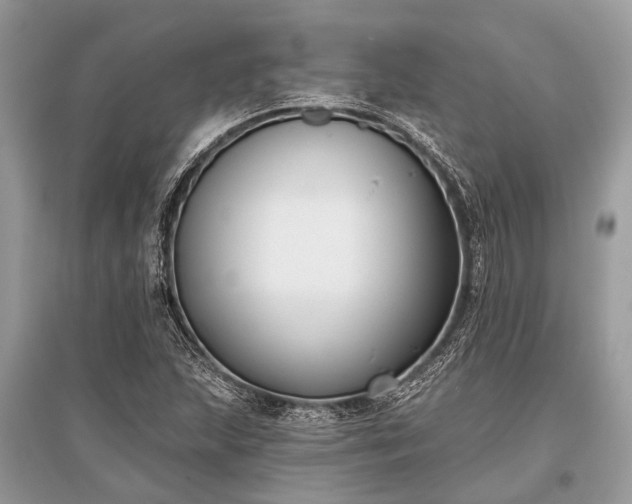 X0000096131215200801251008