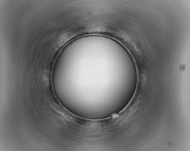 X0000096131217200801251008