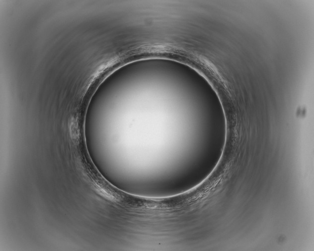X0000096131218200801251008