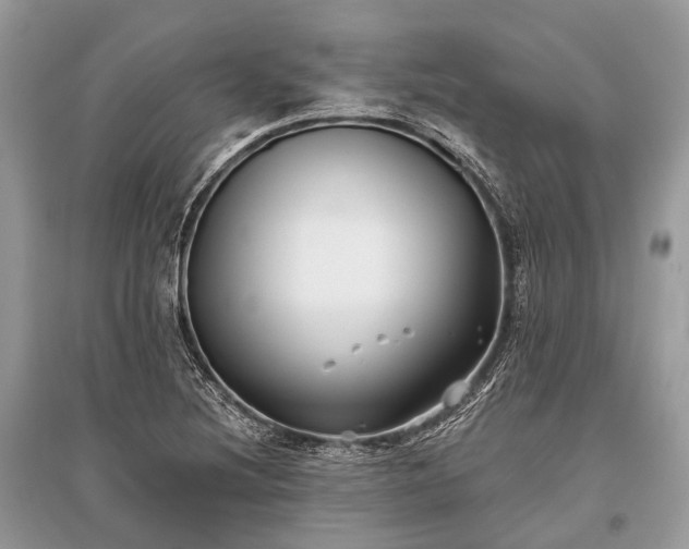 X0000096131220200801251008