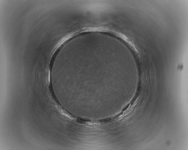 X0000096131221200801251008