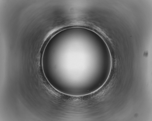 X0000096131222200801251008