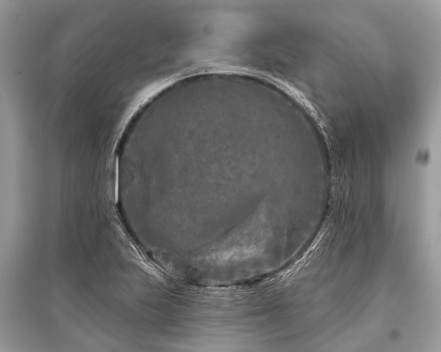X0000096131223200801251008