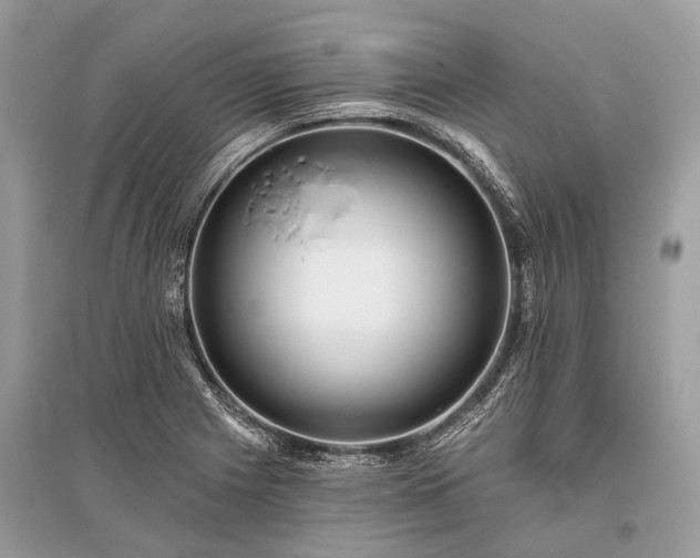X0000096131225200801251008