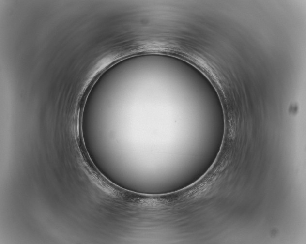 X0000096131227200801251008