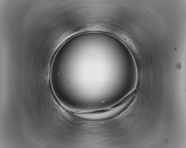 X0000096131228200801251008