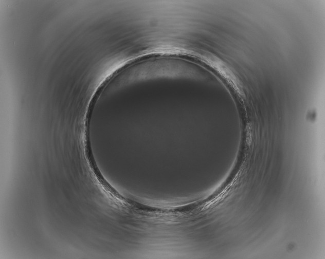 X0000096131229200801251008