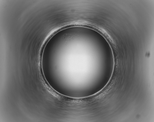 X0000096131232200801251008