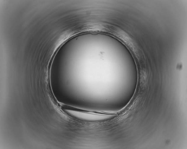 X0000096131234200801251008
