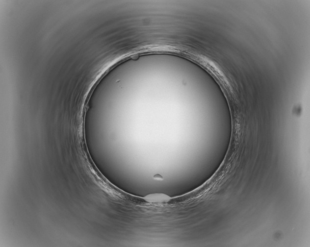 X0000096131236200801251008