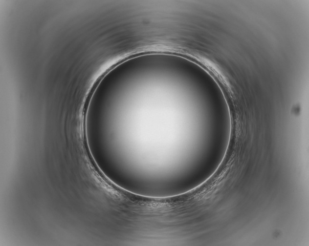 X0000096131238200801251008