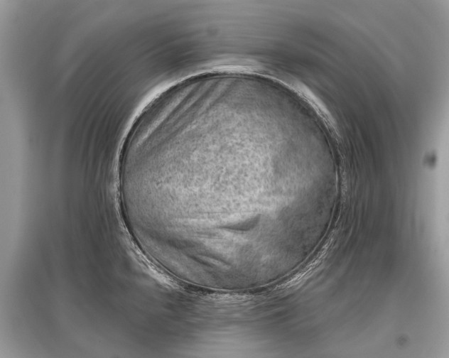 X0000096131240200801251008