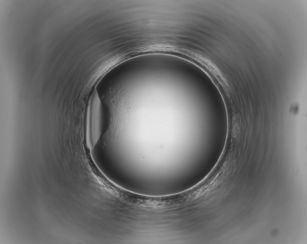 X0000096131241200801251008