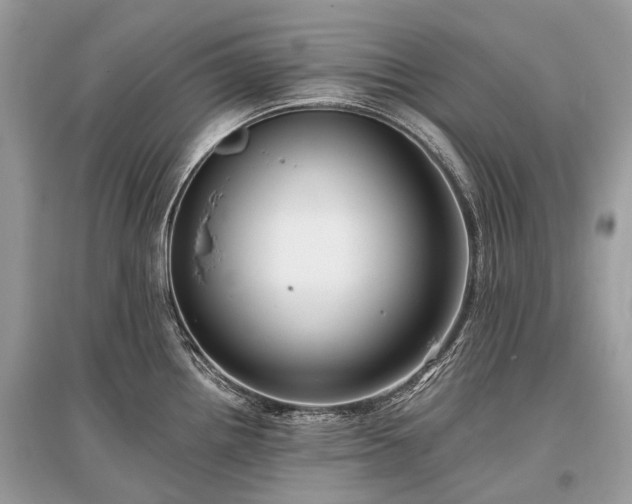 X0000096131242200801251008
